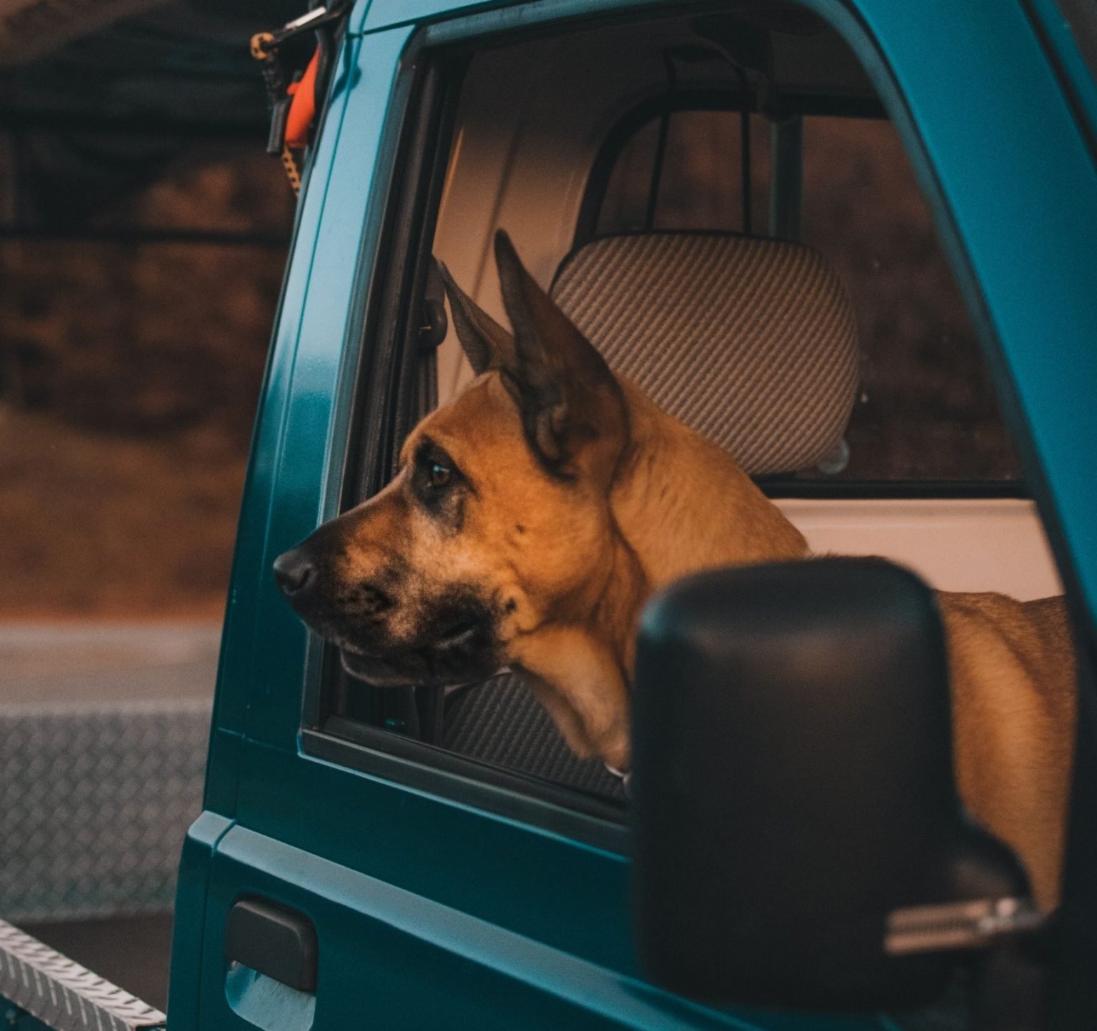 What To Take On A Road Trip CarHub Automotive Group