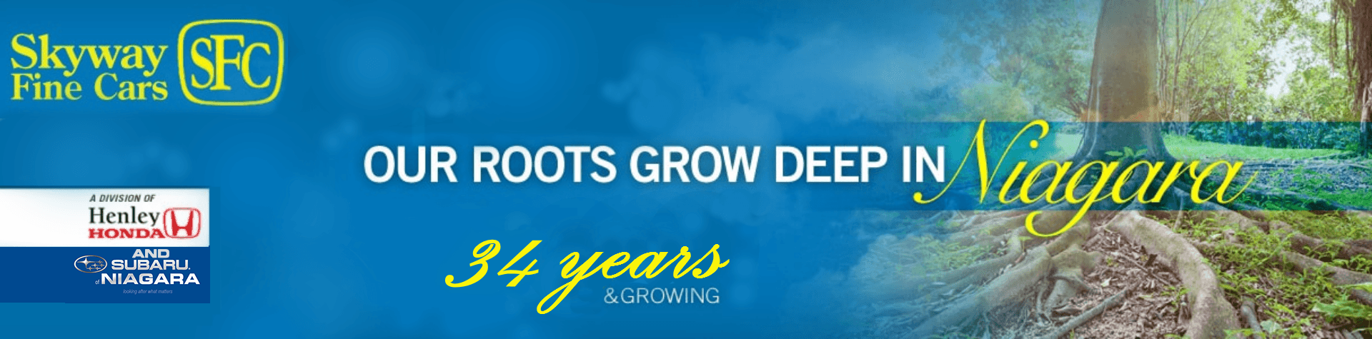 Skyway3 slider_widget-1-0