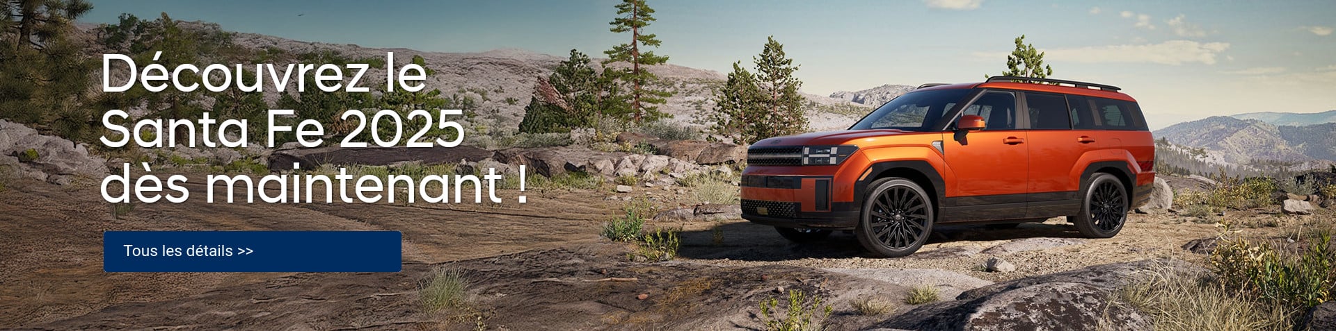 Un Santa Fe 2025 est stationné dans la nature
