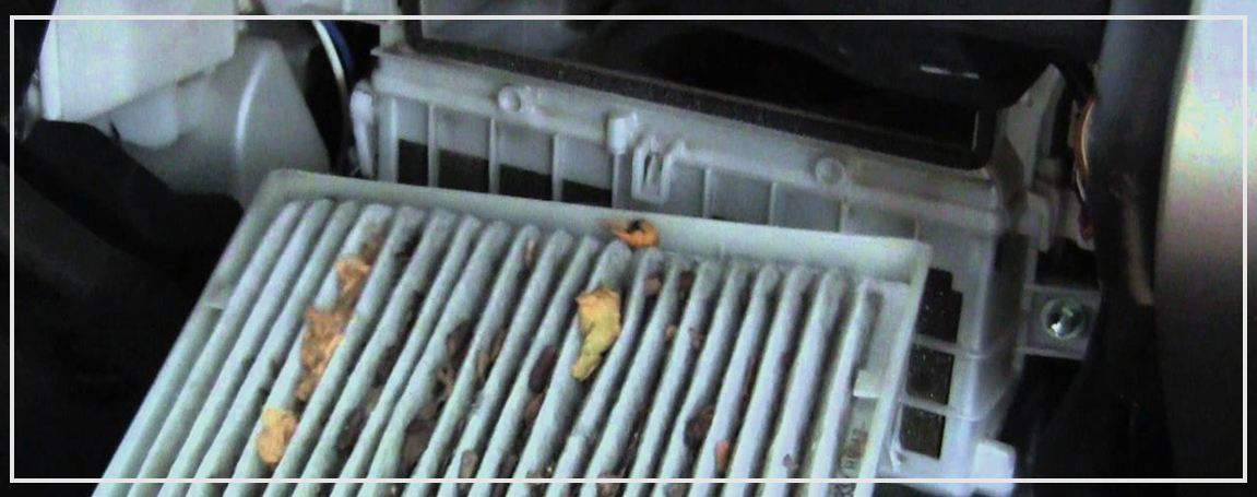 Changing the Air Cabin Filter