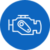 PROTECTION PLAN