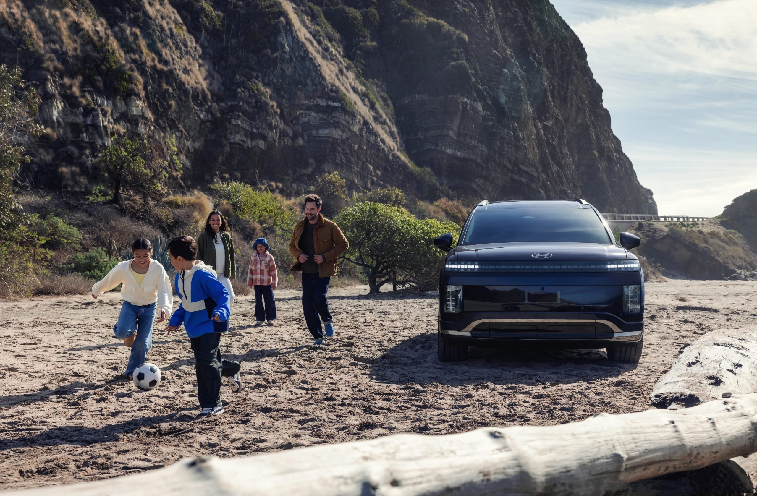 Hyundai roadside assistance